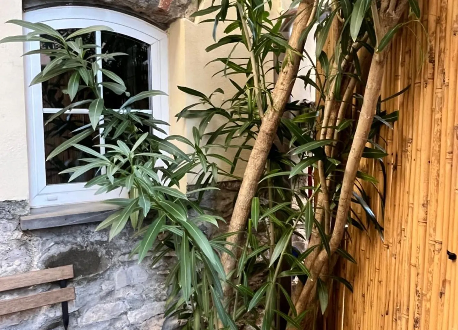 Un Passo Avanti - One Step Closer Apartment Fezzano  Italy